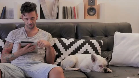 Guy playing with a tablet on sofa, caressing a dog (tracking motion) Video stock 51393672