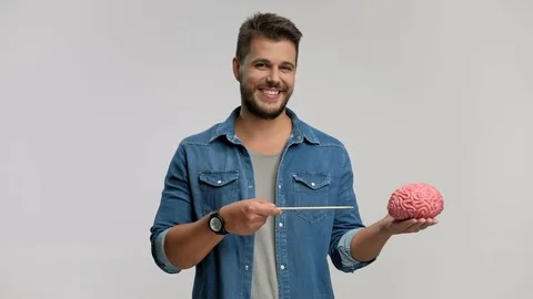 Guy pointing at a brain model with a wooden stick Stock Footage 77399667