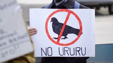 The guy with the poster on which the bird is crossed. Vegetarian meeting. Stock Footage 75285328