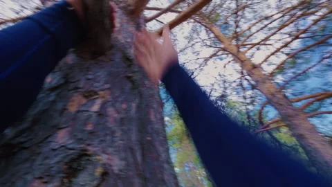 The guy professionally jumps up and climbs a tall tree in the forest. Vidéo 334960058