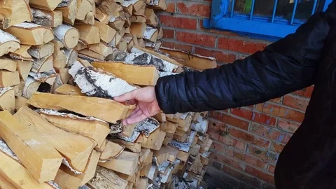 Guy puts birch firewood in his hands Video stock 80373693