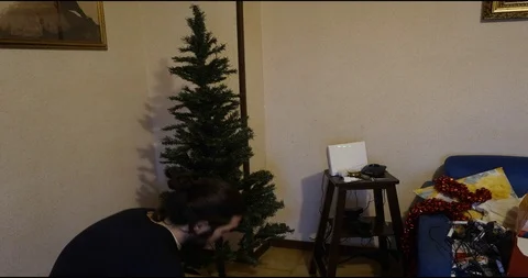 Guy is putting up the Christmas tree Stock Footage 99782845