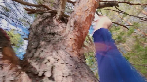 The guy quickly climbs a tree in the forest. Sport. From the first person. Stock Footage 334959924