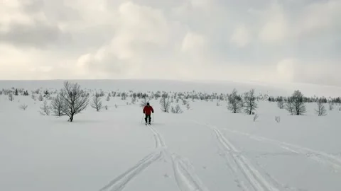 The guy in the red jacket is skiing. Beautiful winter landscape Video stock 179350719