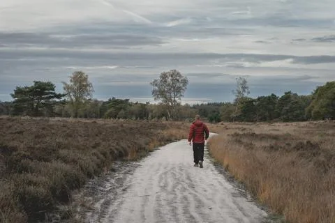 Guy in a red jacket walked on the path Stock Photos