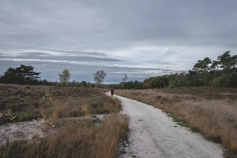 Guy in a red jacket walked on the path Stock Photos