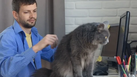 The guy removed the cat from the desktop to the floor, and continued communica Stock Footage 126872833