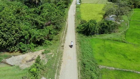 Guy rides a motorcycle top view among palm trees Stock Footage 128151326