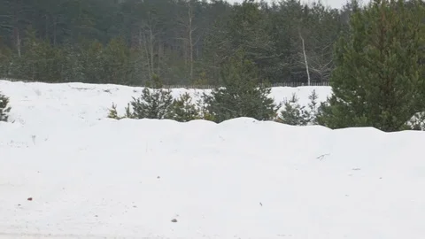 The guy is riding an ATV on a snow-covered road in winter 動画素材 84956647