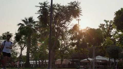 Guy riding a skateboard against the backdrop of the setting sun and palm trees Stock Footage 201215894