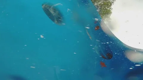 Guy rolls around and fell down Stock Footage 80534802