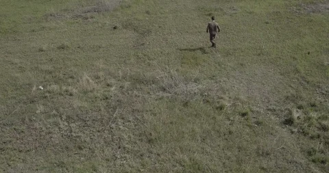The guy is running across the field and falling. Drone. Stock Footage 107792991