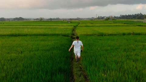 Guy Runs in slow motion Through Rice Terraces in Bali, Indonesia Stock Footage 126143065