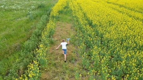 The guy runs through the flower field, holding a plane. Sunny summer day Video stock 113059845