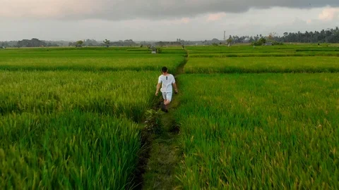 Guy Runs Through Rice Terraces in Bali, Indonesia Stock Footage 126143092