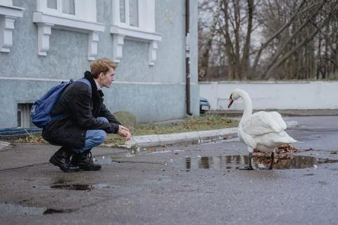 The guy sat down to take a closer look at a wild bird Stock Photos