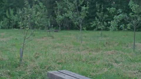 The guy sits down on a bench and starts working Stock Footage 156525334