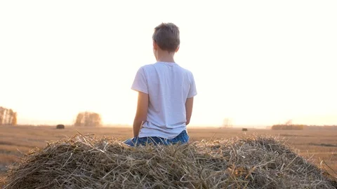 The guy is sitting on a haystack. He looks out over the field. Countryside Vidéo 118448544