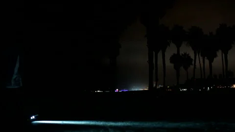 Guy Skateboard Venice Night Palmtrees HD Stock Footage 314973776