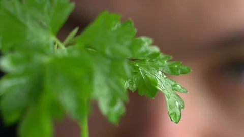 The guy sprinkles plants Stock Footage 131823687