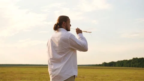 Guy standing in the field, with a spikelet in his mouth. Carefree, happy journey Stock Footage 160457915
