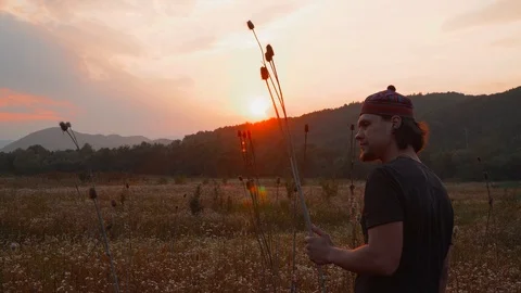 The guy is standing in the field at sunset and holding a thorn. in the Stock Footage 92804768
