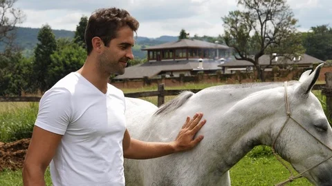 Guy stroking horse Stock Footage 92895927