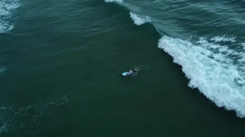 Guy surfing in deep blue sea Stock Footage 241936971