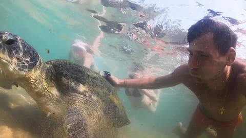 The guy is swimming Underwater with a big turtle. Stock Footage 119693696