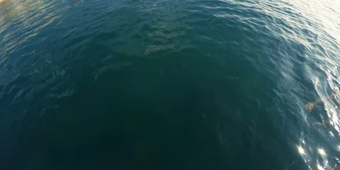 The guy swims in clear water Stock Footage 84548162