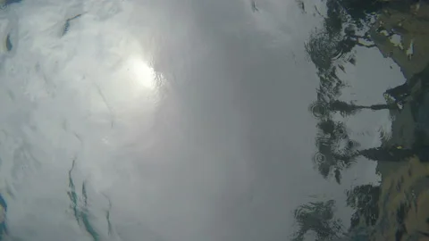 The Guy Swims In The Pool Stock-Footage 91593465