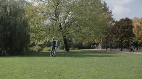Guy swinging boy in the park 動画素材 33806382