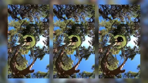 The guy is swinging on a swing Stock Footage 150672914