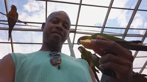 A guy takes a selfie while hand feeding a red throat parakeet at a bird 库存影片 121994379