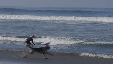 Guy Takes Off Wet Suit Video stock 97764855