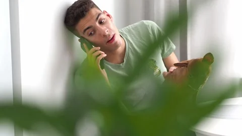 The guy is talking on his mobile phone and stroking his pet. The dog is in the a Vidéo 277183363