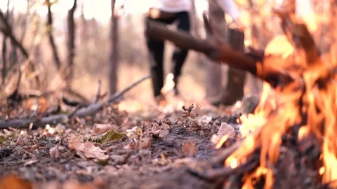 The guy throws firewood into the fire. autumn forest Stock Footage 118586731