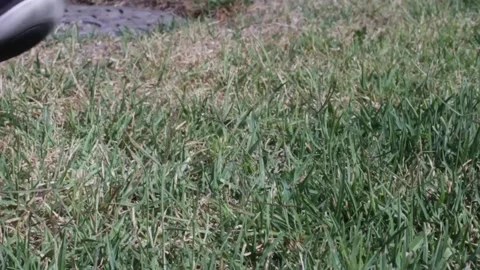 Guy Ties Shoe, Slow Motion Stock Footage 134738834