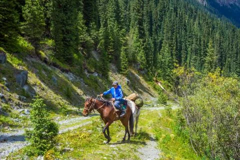 Guy transporting stuff by horse Foto stock