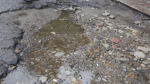 A guy tries to put a paper boat into a creek in rainy weather Stock Footage