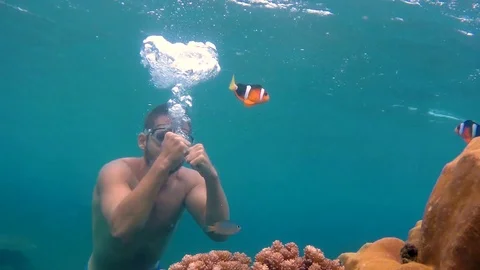 The guy is trying to box with clown fish. Video stock 122555555