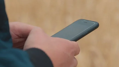 Guy typing on an smart phone in a cornfield Stock Footage 112399238