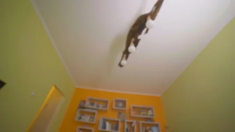 The guy wakes up on an alarm clock at 7 in the morning and put on slippers Stock-Footage 129405119