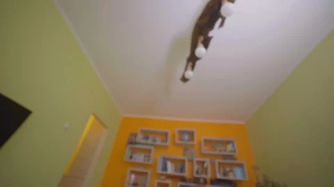 The guy wakes up on an alarm clock at 7 in the morning and put on slippers Stock-Footage 129405332