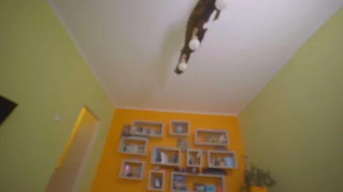 The guy wakes up on an alarm clock at 7 in the morning and put on slippers Stock Footage 129405734