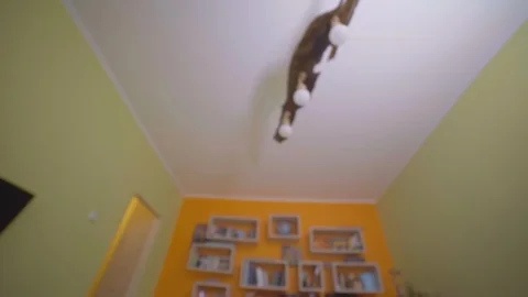 The guy wakes up on an alarm clock at 7 in the morning and put on slippers Stock Footage 129406082