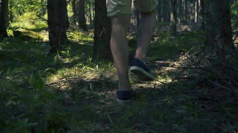 Guy walk in wood movement up Stock Footage 112777833