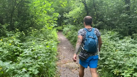 The guy is walking along a forest path. Back view Stock Footage 157857941