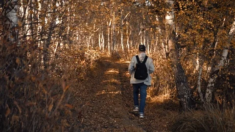 The guy is walking in the autumn forest Stock Footage 118211602