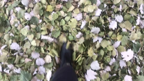 A guy walking on dry leaves on the road in the fall Stock Footage 159289662